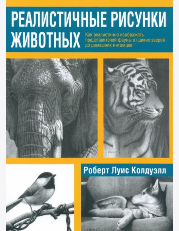 Реалистичные рисунки животных