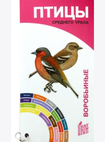 Птицы Среднего Урала. Воробьиные и неворобьиные. Веер-определитель