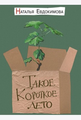 Такое короткое лето