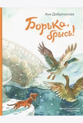 Борька, брысь!