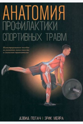 Анатомия профилактики спортивных травм