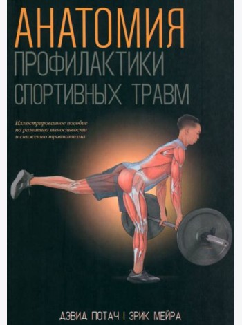 Анатомия профилактики спортивных травм