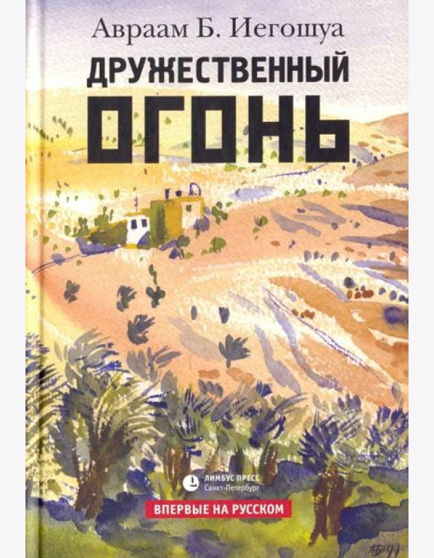 Дружественный огонь