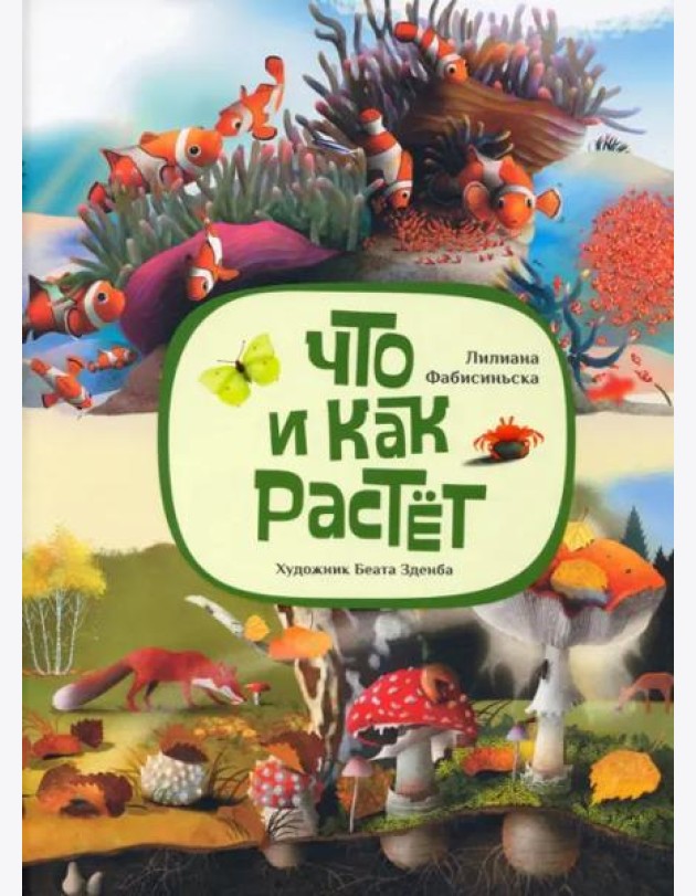 Что и как растёт