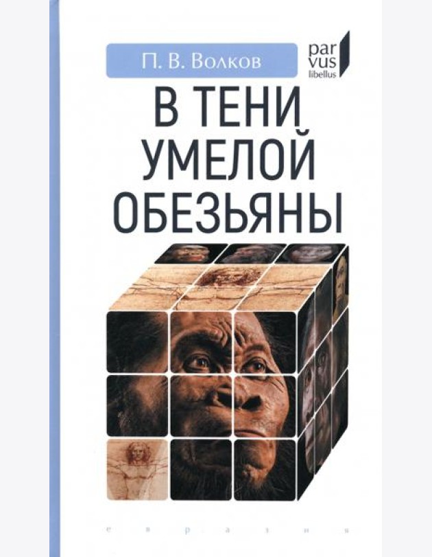 В тени умелой обезьяны. Приключения, великие открытия и заблуждения в археологии каменного века