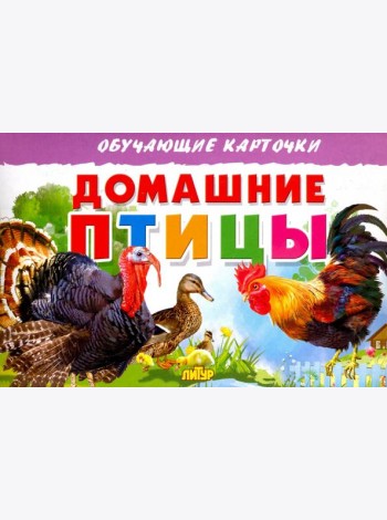 Карточки. Домашние птицы