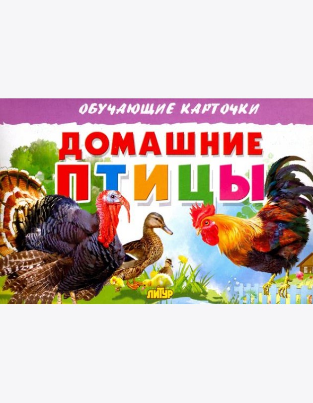 Карточки. Домашние птицы