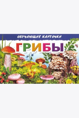 Обучающие карточки. Грибы