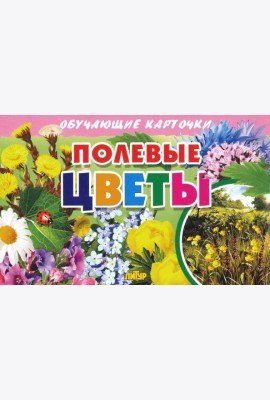 Обучающие карточки. Полевые цветы