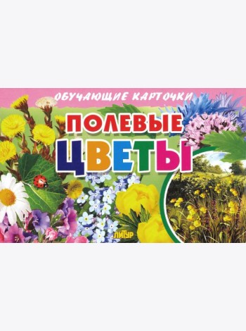Обучающие карточки. Полевые цветы