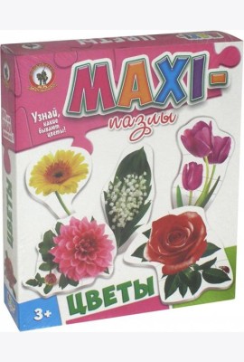 Пазлы 50234/03534 Макси Цветы Русский стиль