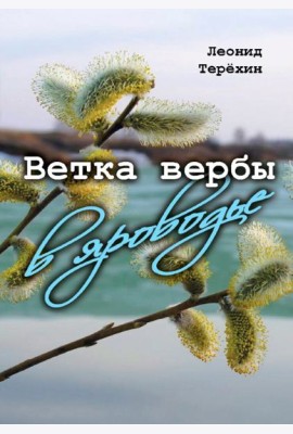 Ветка вербы в яроводье