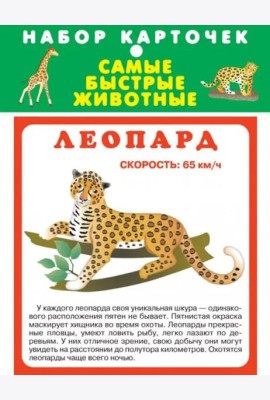 Набор карточек. Самые быстрые животные