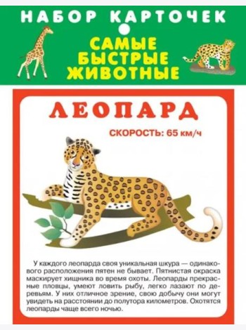 Набор карточек. Самые быстрые животные