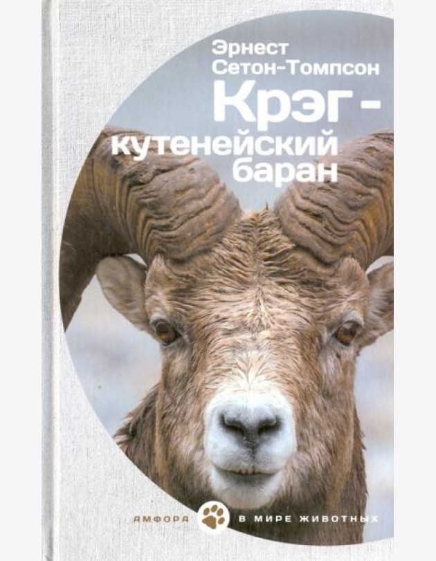 Крэг-кутенейский баран