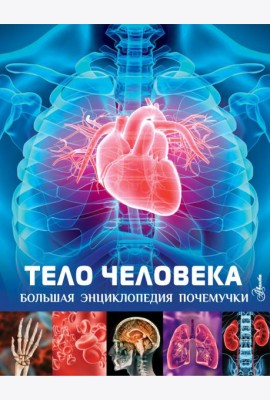 Тело человека