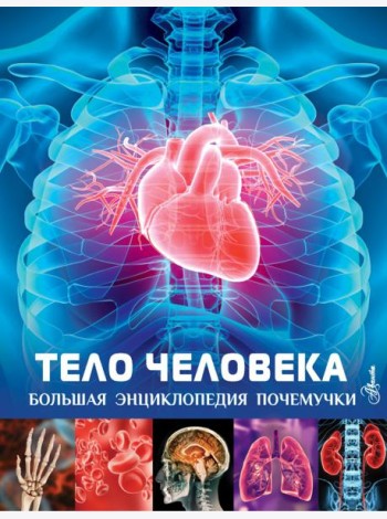 Тело человека