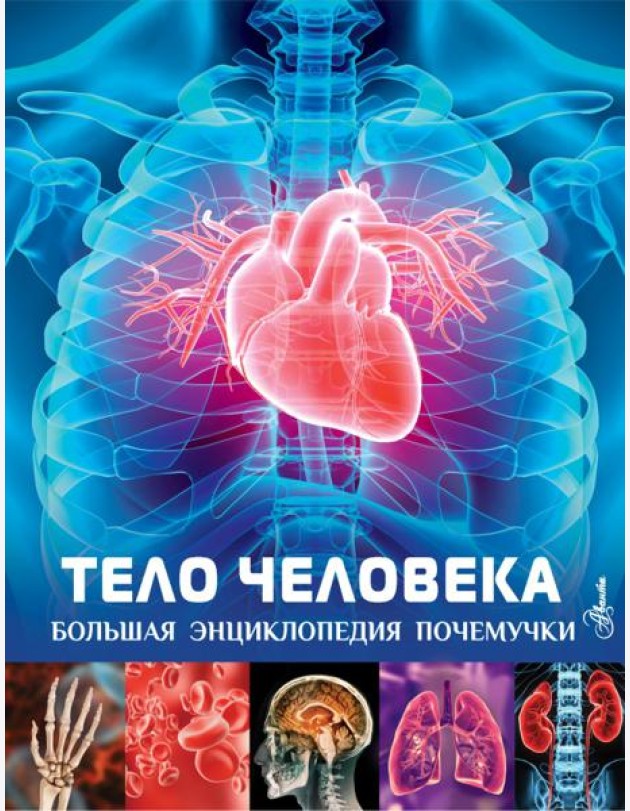 Тело человека