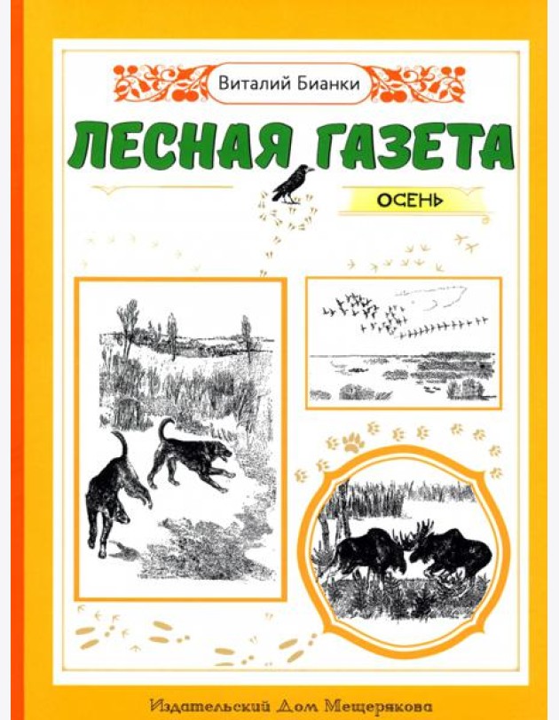 Лесная газета. Осень