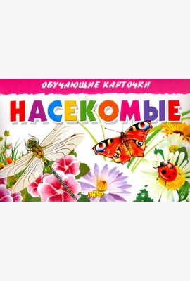 Насекомые. Обучающие карточки