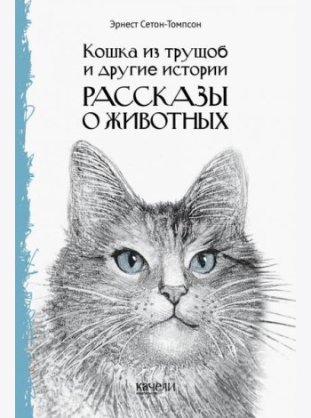 Кошка из трущоб