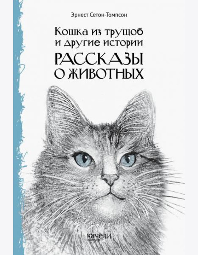 Кошка из трущоб