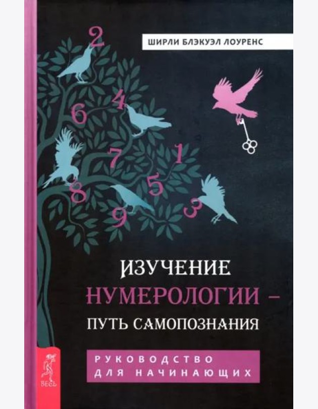 Изучение нумерологии — путь самопознания. Руководство для начинающих