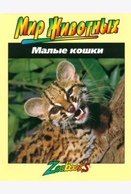Малые кошки