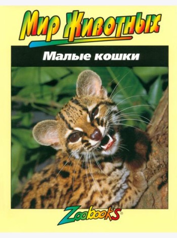 Малые кошки