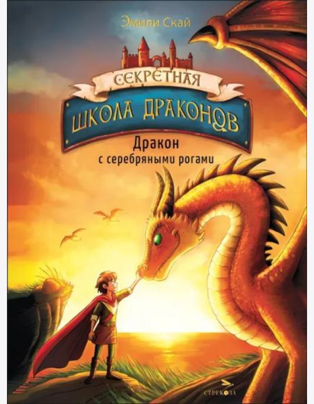Секретная школа драконов Книга 2.Дракон с серебряными рогами
