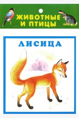 Животные и птицы. 20 карточек