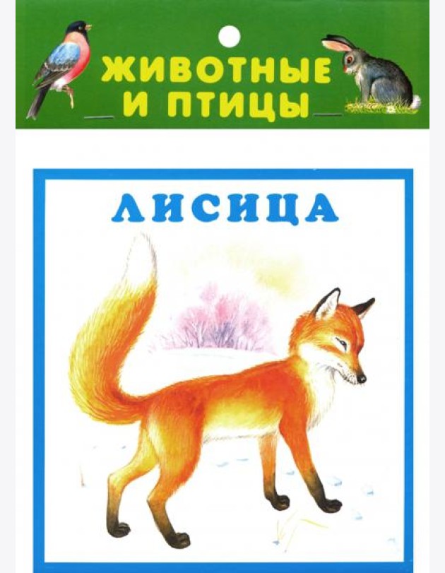 Животные и птицы. 20 карточек