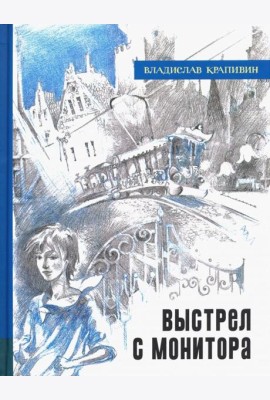 ИБФИП/Выстрел с монитора