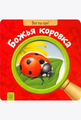 Вот ты где! Божья коровка