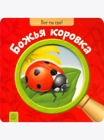 Вот ты где! Божья коровка