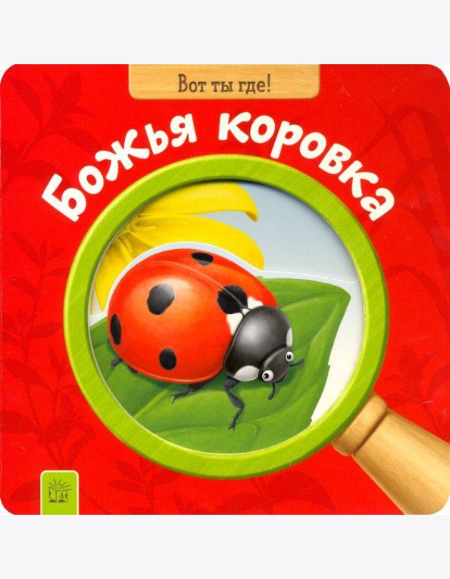 Вот ты где! Божья коровка