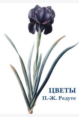 Набор открыток. Цветы. П.-Ж. Редуте