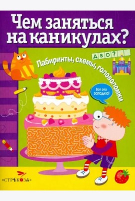 Чем заняться на каникулах? Лабиринты, схемы, головоломки. Вып.4