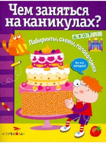 Чем заняться на каникулах? Лабиринты, схемы, головоломки. Вып.4
