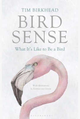 Bird Sense