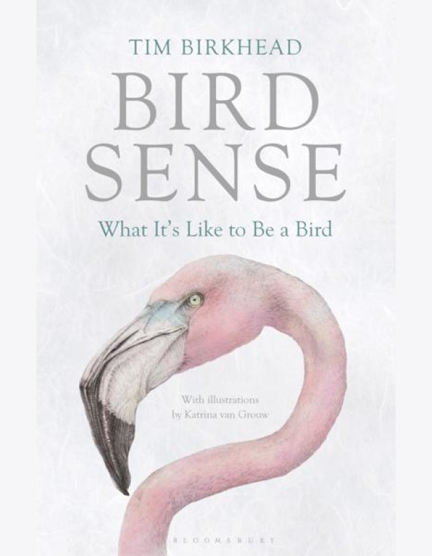 Bird Sense
