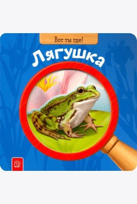 Вот ты где! Лягушка