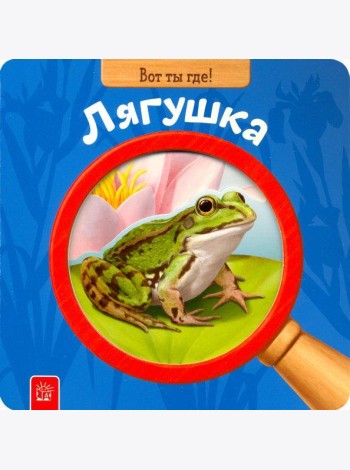 Вот ты где! Лягушка