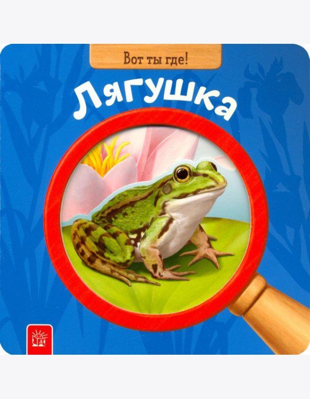 Вот ты где! Лягушка