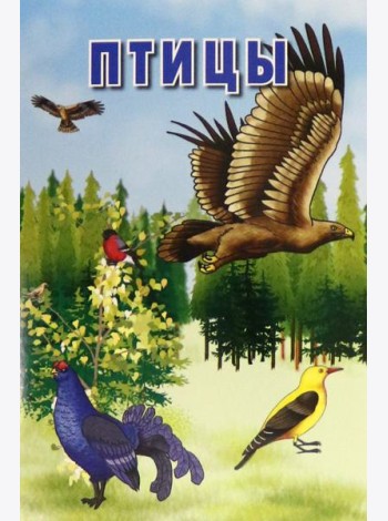 Карточки. Птицы (Интересные факты о каждой птице)