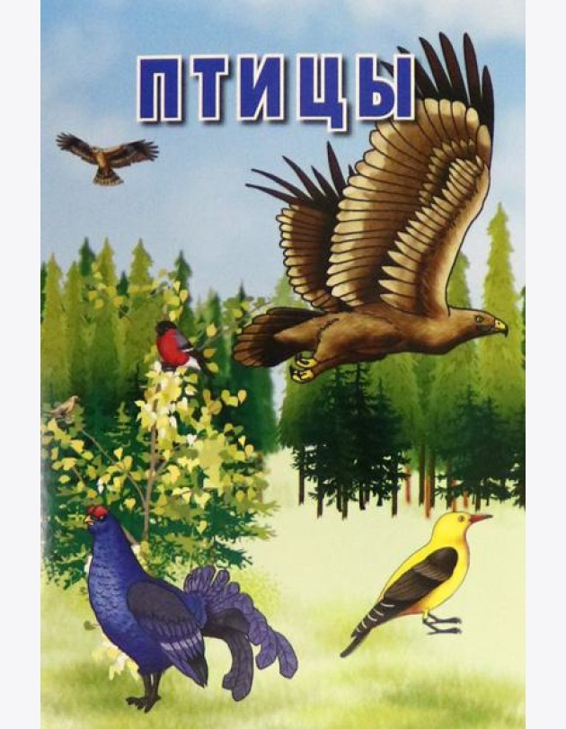 Карточки. Птицы (Интересные факты о каждой птице)