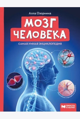Мозг человека: самая умная энциклопедия