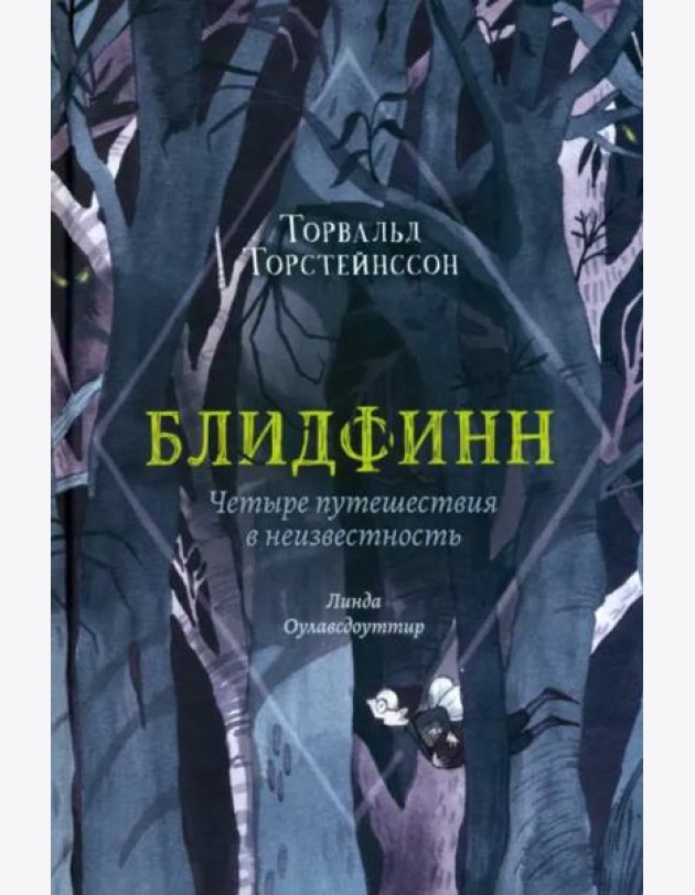 Блидфинн. Четыре путешествия в неизвестность