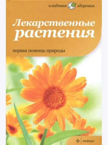 Лекарственные растения. Первая помощь природы