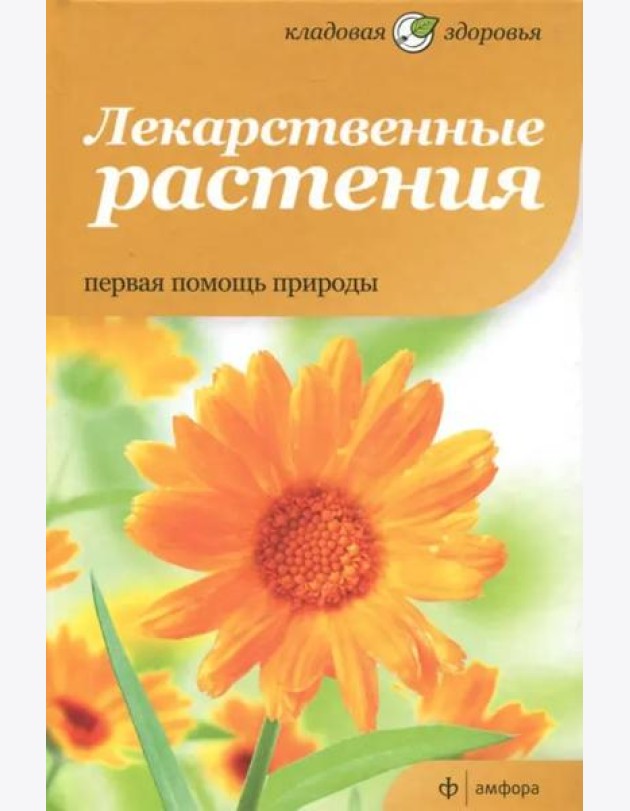 Лекарственные растения. Первая помощь природы